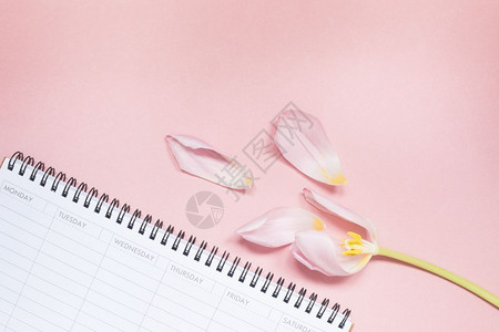 防伪花团郁金香花团锦簇设计图片