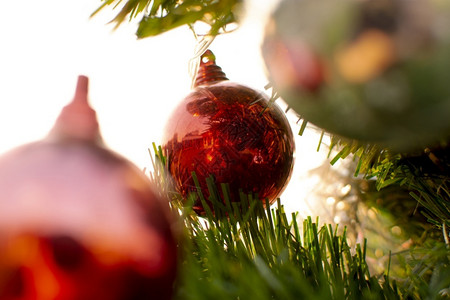 圣诞树上挂着红色装饰球图片