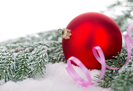 雪美丽的红色圣诞舞会在霜冻的鲜红树上圣诞装饰品季节冬天图片