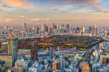 日本落时东京市天际新宿地区的顶端视图城市塔夜晚图片