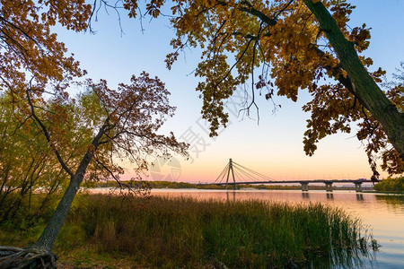 树叶黄色的莫斯科夫基桥在乌克兰辅秋天黄昏时分Dnieper河上反射香蒲高清图片素材