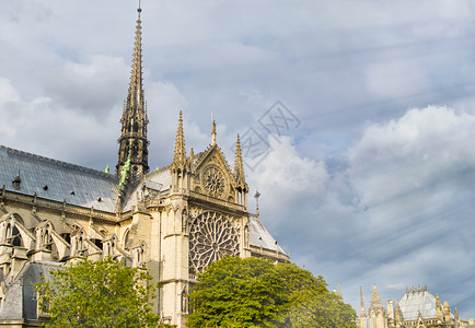 圣母院外墙面被树木和蓝天所蒙上法国巴黎天主教灵贵妇人图片