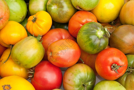 品尝生产美味的态番茄图片
