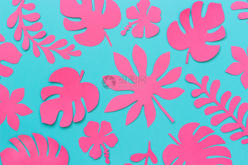 热带树叶图案蓝色背景上流行的粉色热带纸叶平铺自上而下的构图创意纸艺蓝色背景上的时尚粉色热带纸叶平躺创意纸艺龟背竹假期叶子图片