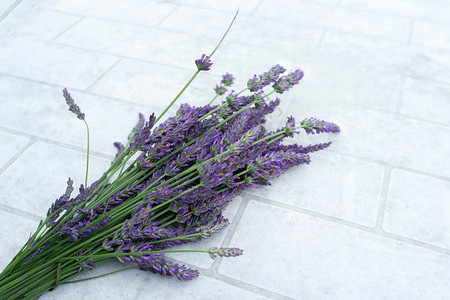 香气放松药物白桌上紫色花朵的美丽枝子图片