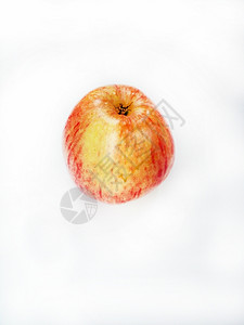 单身的白背景新鲜苹果水素食主义者白色的图片