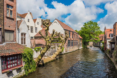 天建造比利时布鲁日美丽的运河和老旧砖楼游客图片