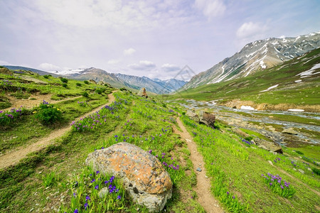 美丽的春天颜色高景观草地图片