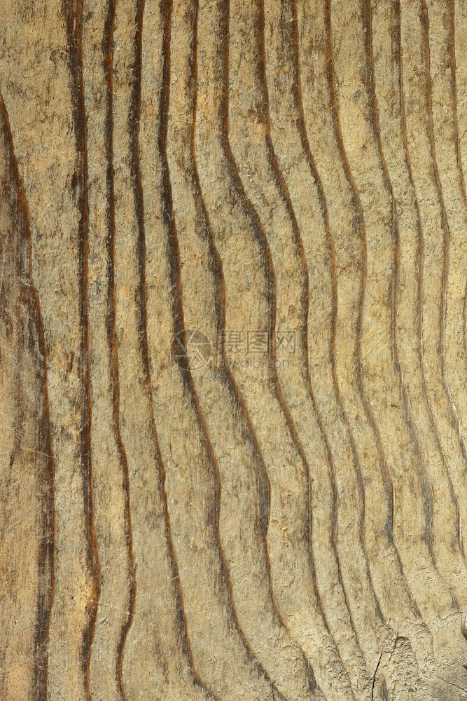 木材建造Fir平板图案的纹理您设计用的木形图案工图片