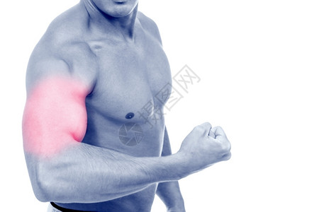 性感胸部健身房在白色孤立背景上关闭强健的臂体男子气概模型设计图片