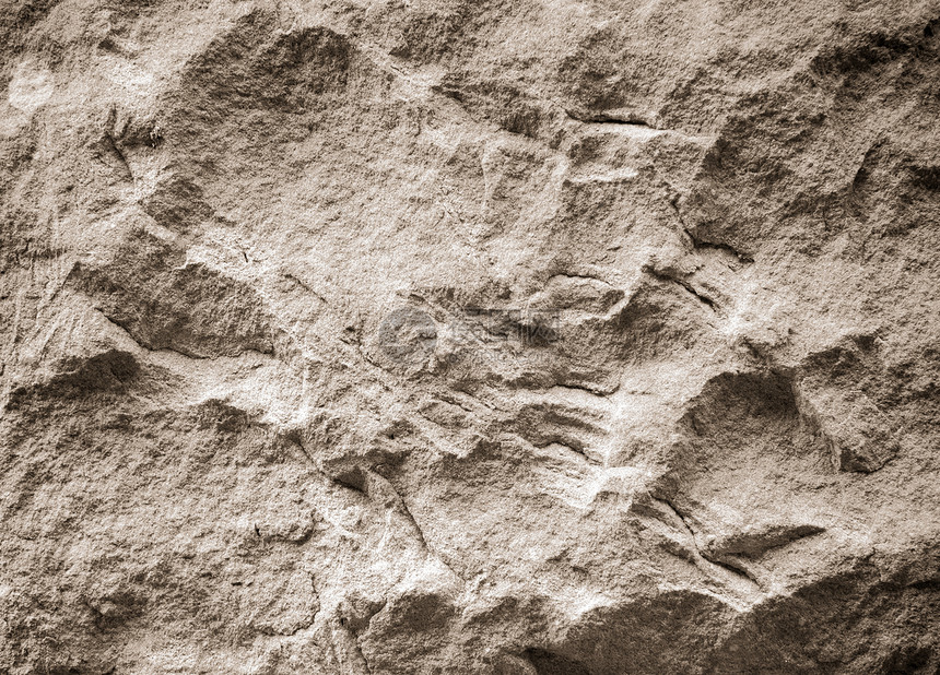 墙难的沙砂石质背景地图片