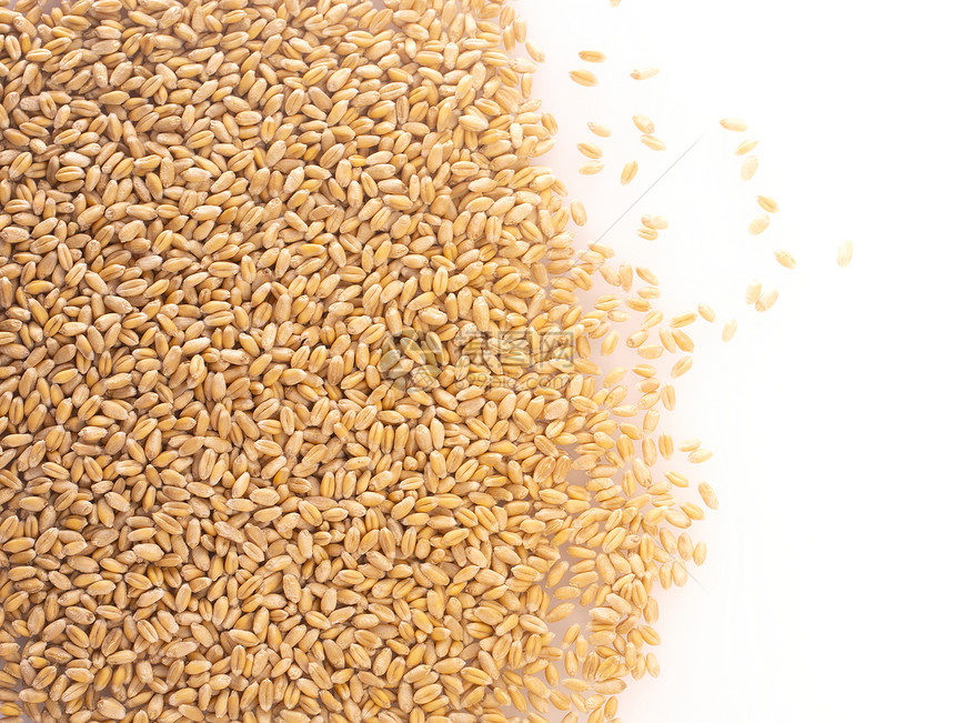 农场白色背景顶视图上孤立的小麦粒有机最佳图片
