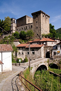 意大利托斯卡纳中世纪城堡叶子景观植物图片