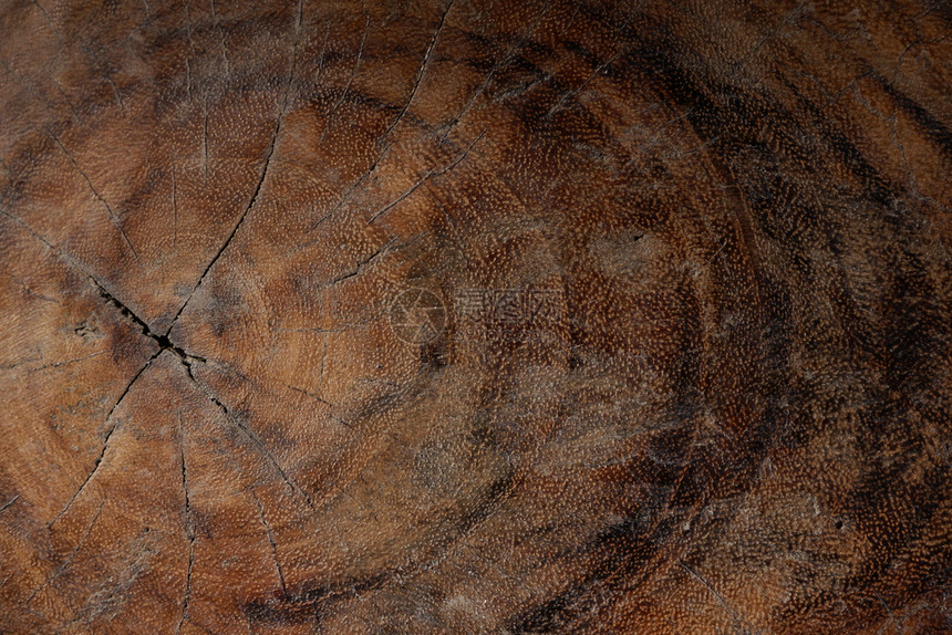 过时的家具木制纹理背景图像松树图片