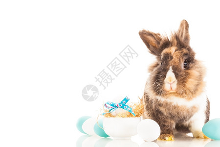 复活节装饰和兔子图片