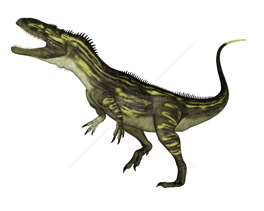 化石使成为托弗龙在白色背景中孤立的恐龙3D使得咆哮3D使D产生图片