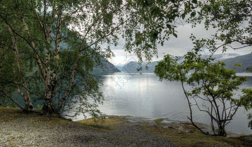 喷泉夏日的挪威风景观河水图片