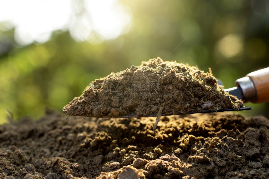 堆肥地面生长用于种植和农业的粪肥或牛图片