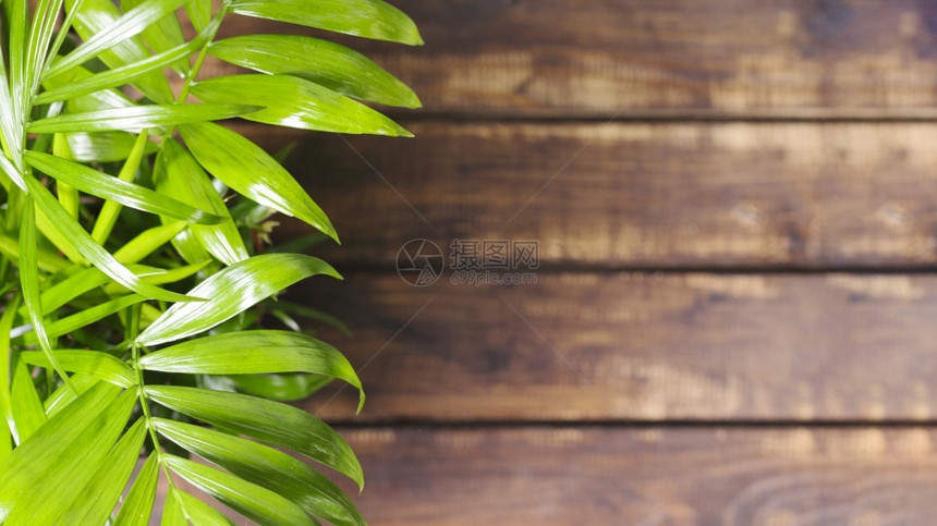 绿叶木桌覆盖日落栅栏图片