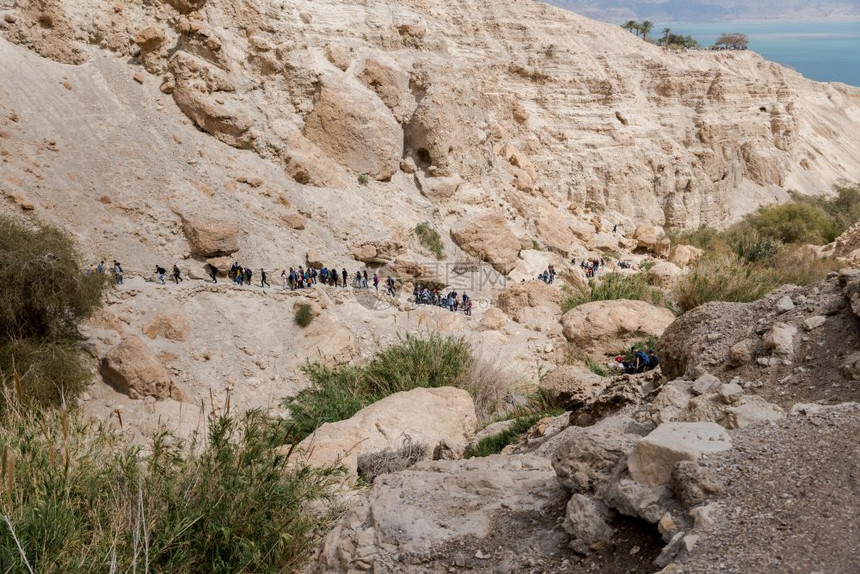 EinGediIsrael26march2019人们在死海公园EinGedi玩得开心结石湖户外图片