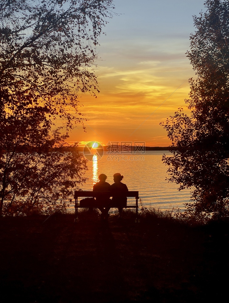 日落金的树男人和女坐在湖边的长椅上在美丽的金色夏日夕阳下图片