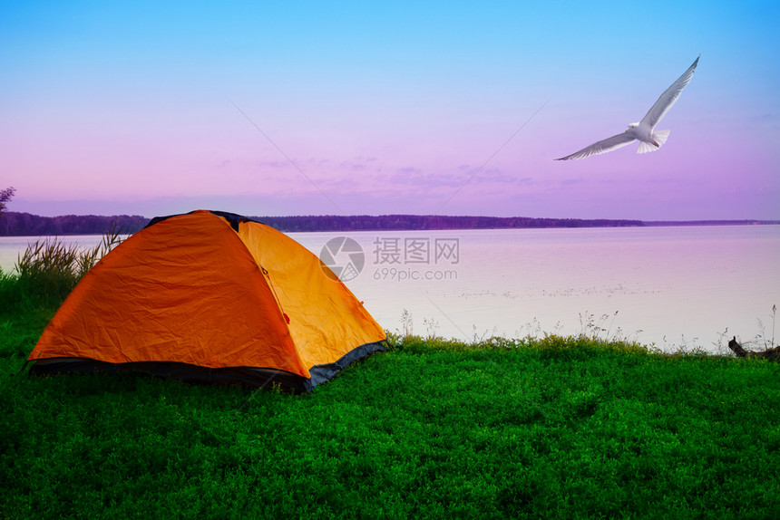 清晨天空中带海鸥的平静湖岸边有一条海鸥的旅游帐篷粉色黎明夜月光夏季风景旅行的概念隐私自由旅游帐篷在早晨天空中带海鸥的湖边风景优美图片