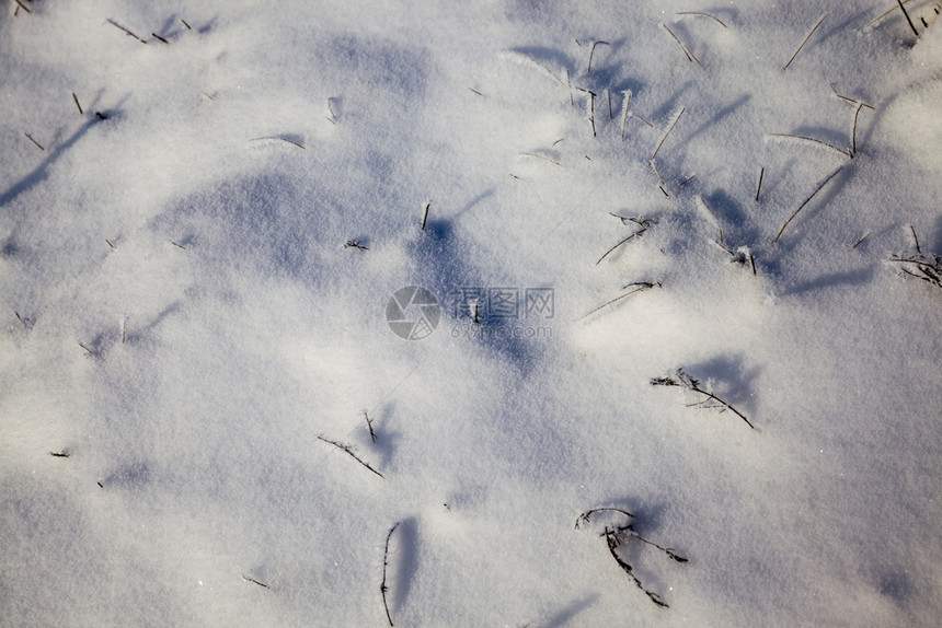 水晶美丽的冬季特写与道路和其他植物在冬季降雪的下阳光明媚的天气美丽冬季图片美丽的冬季特写木头柔软的图片