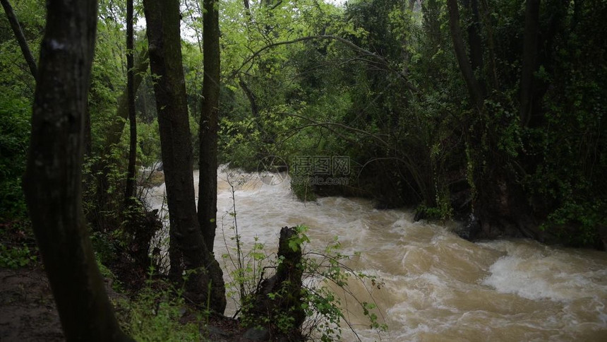 在伊斯雷尔的贝里雅河中通常流动缓慢的河现在暴雨之后波里亚斯岛附近的巴里雅斯河下许多降雨成为一条交汇溪流绿洲旅游木头图片