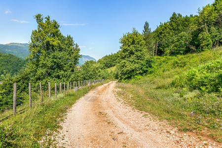 美丽的生长草地穿过黑山区森林的乡村公路图片