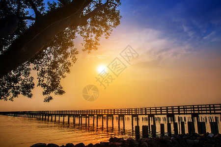 清晨海景日出背的长桥海风热带日落图片