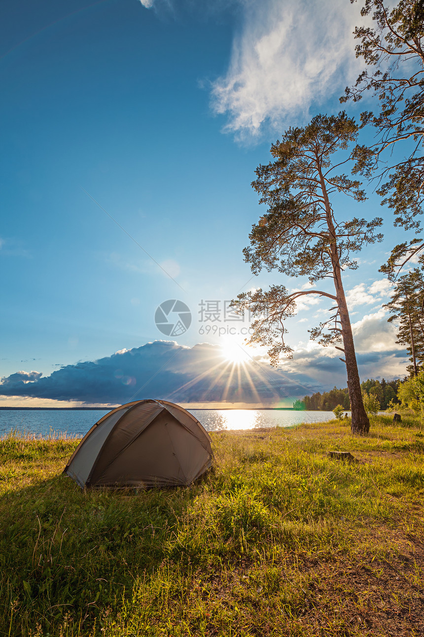 夏天假期阳光在松树下湖岸边的旅游帐篷图片