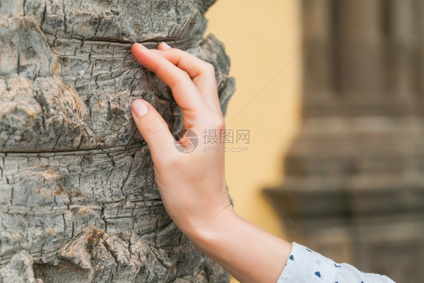 情感关心精神的女人手放在棕榈树干上环境保护自然理的概念女孩手掌接触树皮的特写生态和积极的活方式女人手放在棕榈树干上图片