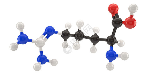 胜肽Arginine分子结构3d插图带有剪切路径工作白色的生物合成设计图片