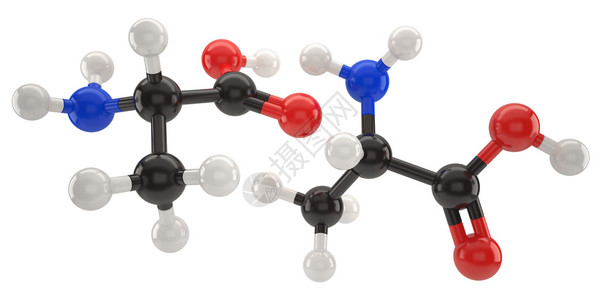 丙氨酸Alanine分子结构3d插图带有剪切路径原子氧化学设计图片