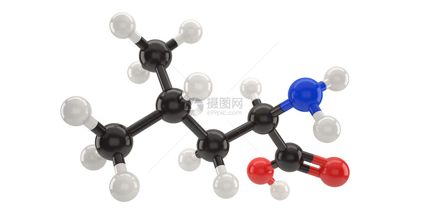 化学Leucine分子结构3d插图带有剪切路径氧肽图片