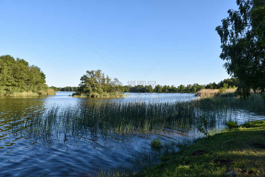 季节在瑞典群岛奥兰的自然保护区美丽的夏季景色从Hornsjon湖森林景观图片