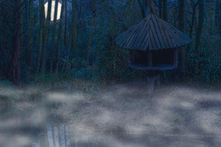 明亮的薄雾丛林中的夜晚水上天空中亮月河边木林小屋树图片