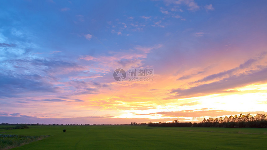 大稻田日落农场美丽的天空田地收成夏太阳图片