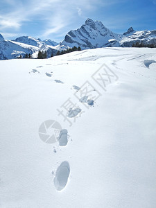 足印深雪中的脚印背景