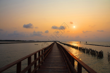 清晨海景日出背的长桥海颜色风优美木制的图片