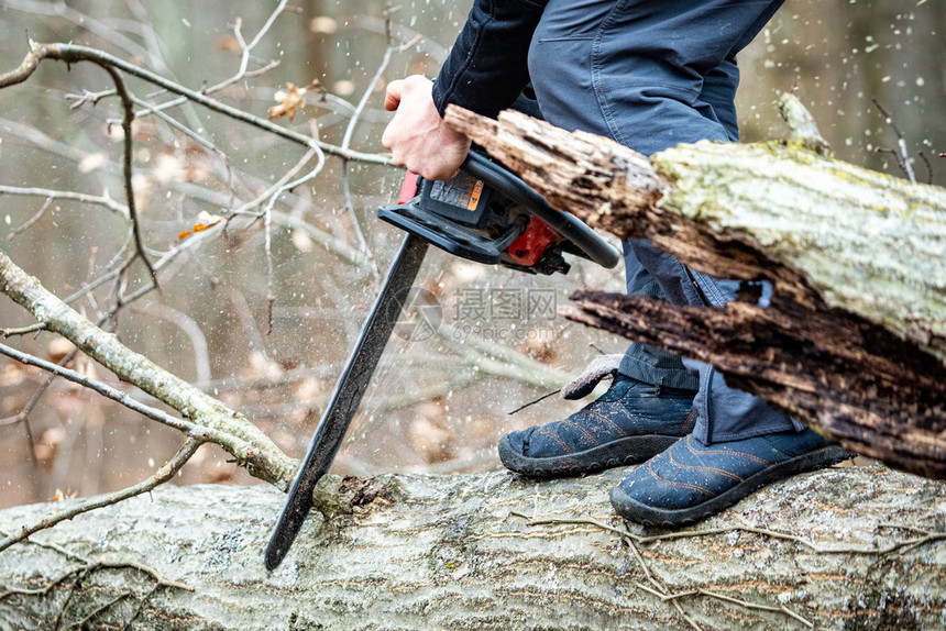 伐木工人使用气力链锯木砍树用气力链锯木砍树切割并关闭油力链锯木量环境安全图片