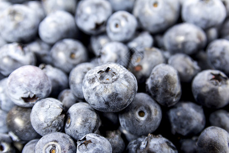 水果一种农民蓝莓上鲜桌背景新摘的蓝莓图片