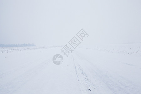 是冬天来到在最后一场雪落之的下照片是在降后的冬季拍摄阳光节生活设计图片