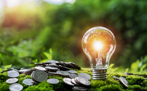 股票现金创新自然界的节约金钱与能源概念在绿色草地和阳光上装着灯泡设计图片