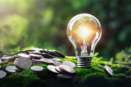 货币自然界的节约金钱与能源概念在绿色草地和阳光上装着灯泡金融电图片
