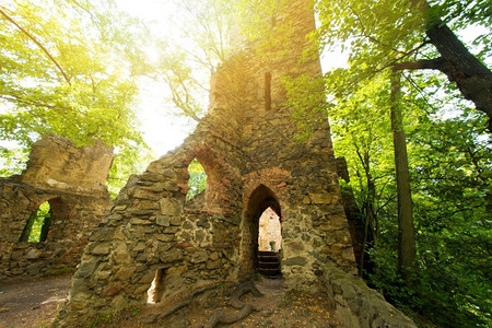 古董欧洲的在绿林中城堡废墟的图片
