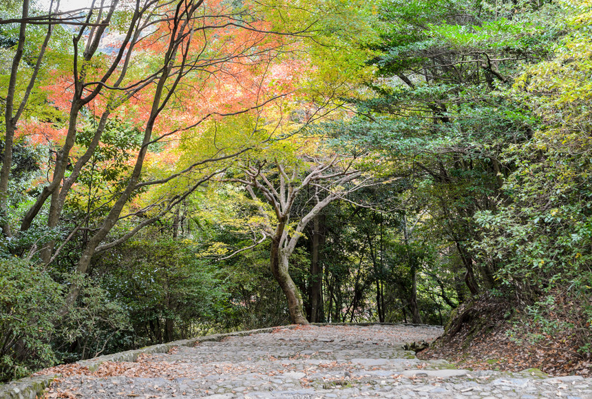 假期丰富多彩的岚山在日本京都的亚林山以美丽的秋天彩色木叶石舞步向下图片