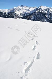 深雪中的脚印图片