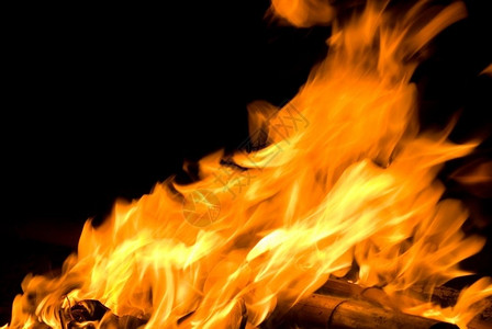 火焰风的素材火焰随风而起生动的力量橙危险设计图片