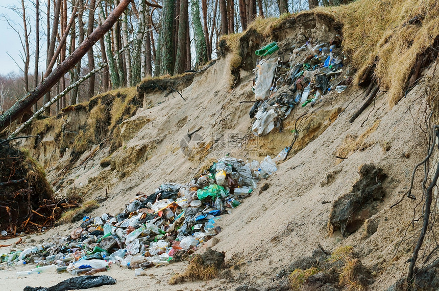 桩破坏海滩自然界中的塑料废玻璃瓶人类在森林中留下的垃圾人类在森林中留下的垃圾自然界中的塑料废玻璃瓶图片